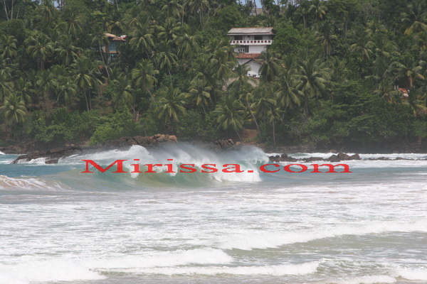 Surfing in Mirissa